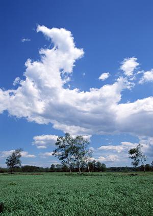 静岡県で低価格・信頼の葬儀サービス|家族葬のタクセルの特徴と店舗紹介