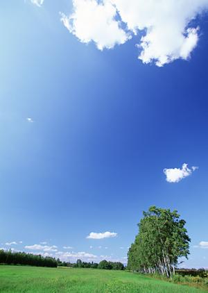 【公式】家族葬のタクセル竹林町|栃木県宇都宮市の家族葬・斎場・葬儀場 最新情報と特徴ポイント