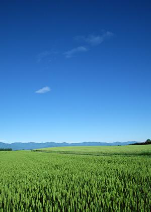 静岡県富士宮市の家族葬専門斎場「家族葬のタクセル光町」|安心と低価格を実現した最新型葬儀場