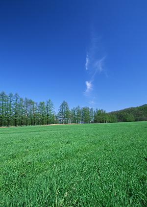 静岡県浜松市中央区に拠点を置く家族葬専門の葬儀場【家族葬のタクセル天竜川駅前】の全て