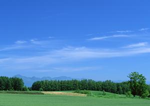 静岡市に新たにオープンした家族葬のための斎場「家族葬のタクセル長沼」詳細解説