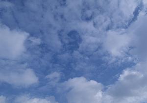 静岡市で選ばれる葬祭サービス【富士葬祭 清水有東坂】の特徴と店舗情報