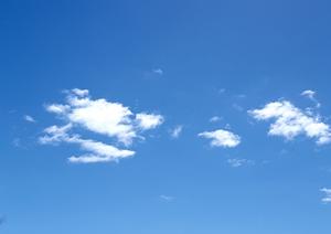 静岡市駿河区に新規OPEN!家族葬のタクセル大和:少人数向けの安心できる葬儀場と充実のサービス紹介