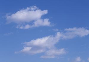 安心して任せられる!さいたま市で選ぶ信頼の葬儀社と費用のポイント