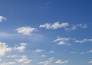 静岡市で信頼の葬儀サービスを提供する【富士葬祭 静岡】の詳細ガイド